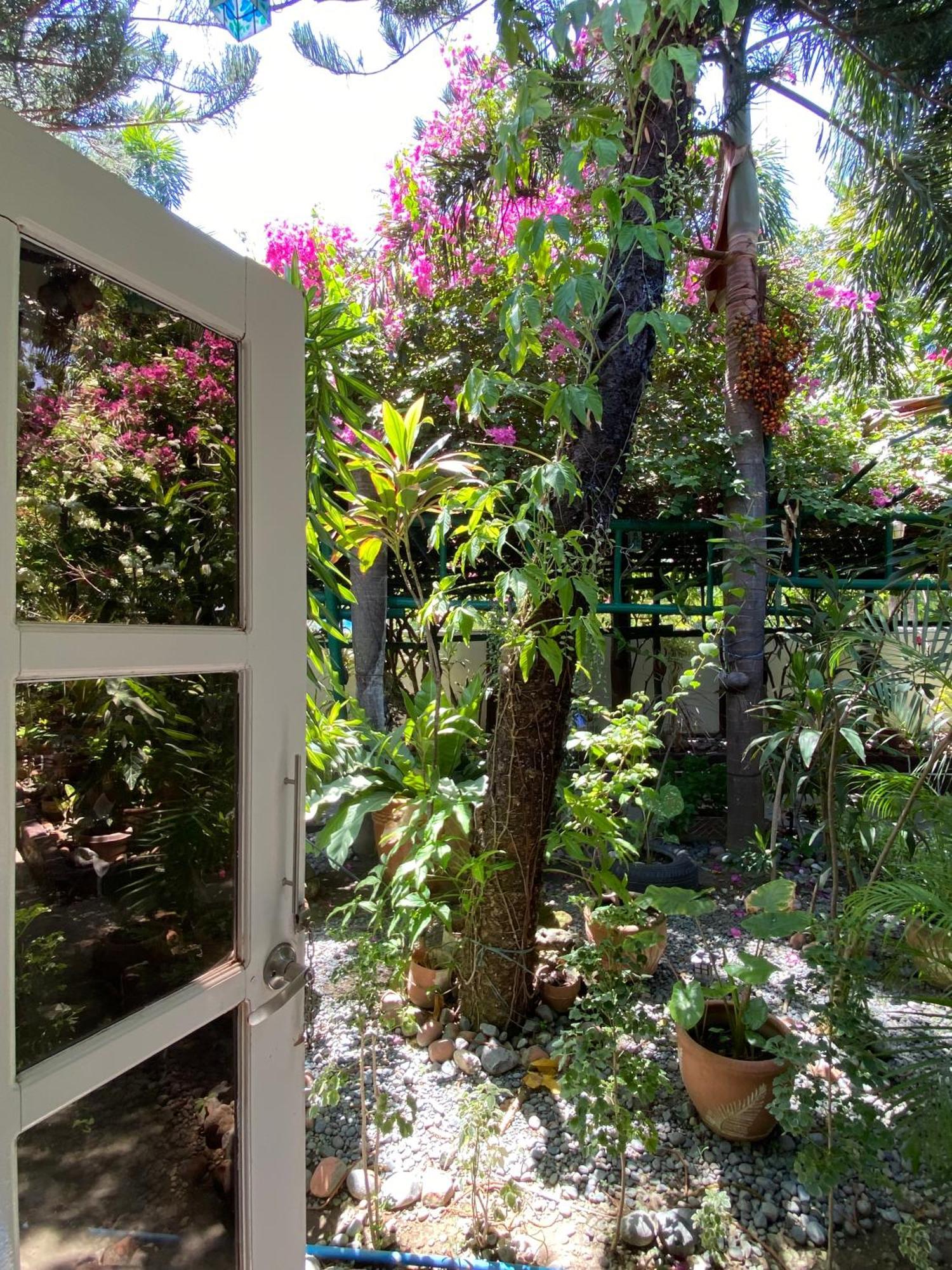 Olana Bed&Breakfast Labrador Exterior foto